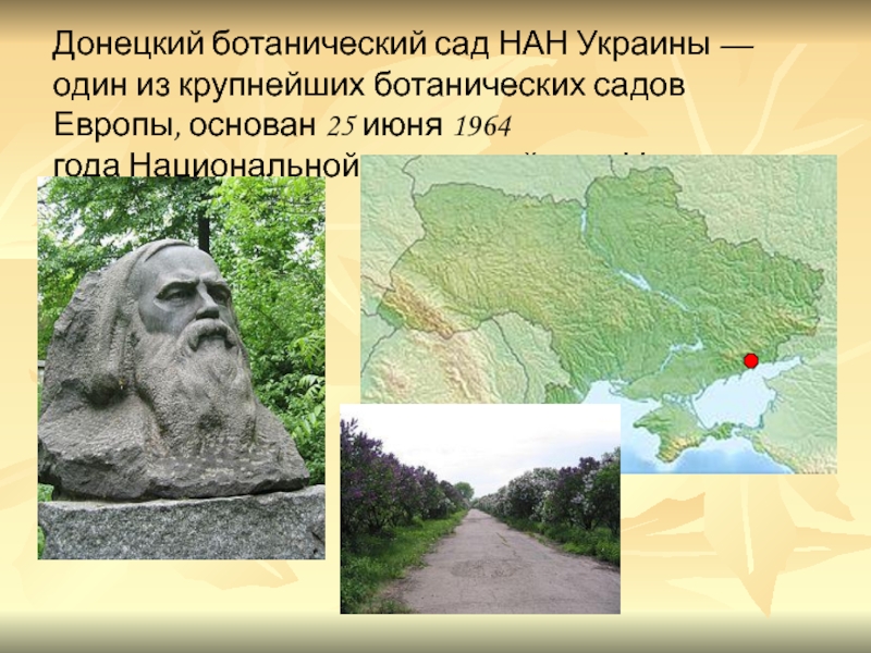 Донецкий ботанический сад НАН Украины — один из крупнейших ботанических садов Европы,