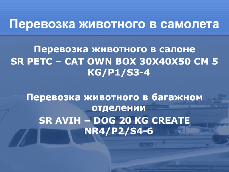 Перевозка животного в самолета Перевозка животного в салоне SR PETC – CAT OWN BOX 30X40X50 CM 5