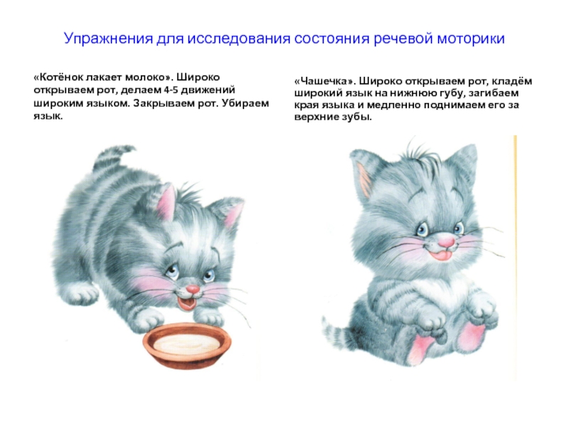 Предложение про котенка