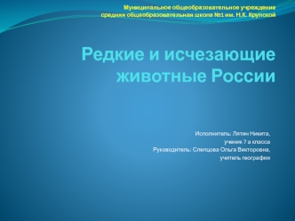 Муниципальное общеобразовательное учреждение средняя общеобразовательная школа №1 им. Н.К. КрупскойРедкие и исчезающие животные России