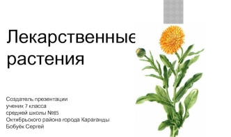 Лекарственные растения