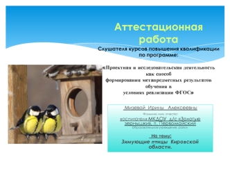 Аттестационная работа. Зимующие птицы Кировской области