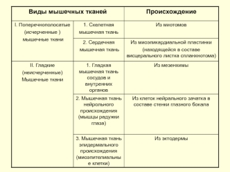 Виды мышечных тканей. Происхождение