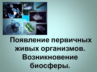 Появление первичных живых организмов. Возникновение биосферы