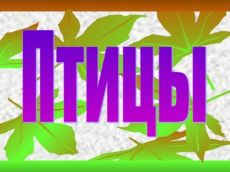 Птицы