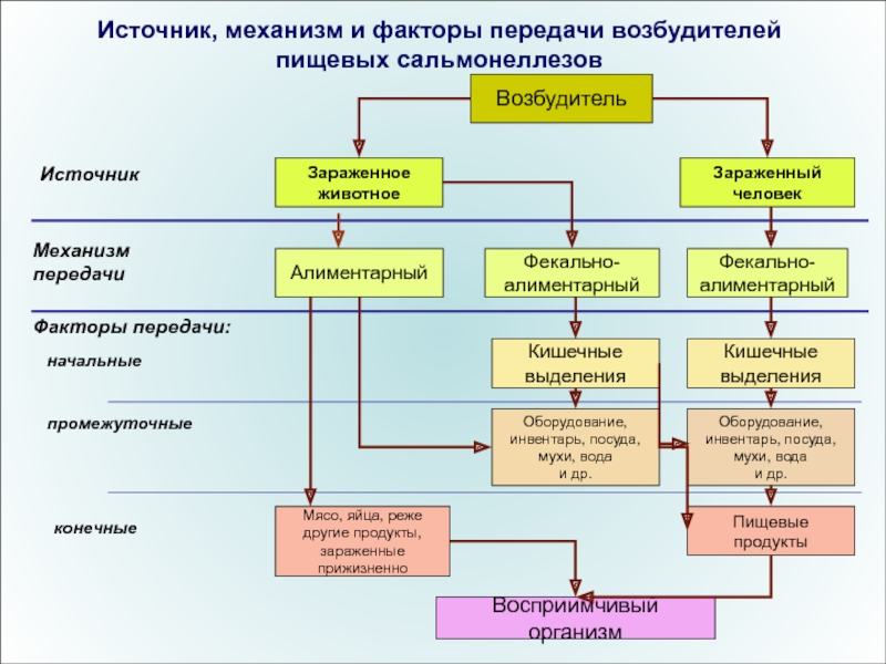 Используйте разведывательный сканер чтобы обнаружить зараженное животное