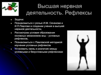 Высшая нервная деятельность. Рефлексы