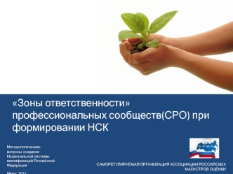 Зоны ответственности  профессиональных сообществ(СРО) при формировании НСК
