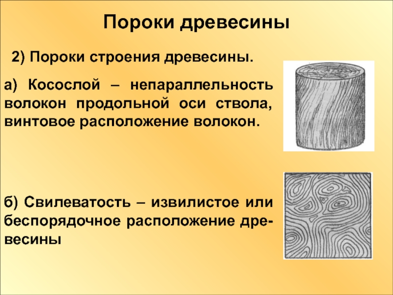 Реестр проектов освоения лесов депнедра хмао