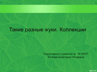 Такие разные жуки. Коллекции. Занятие №1. Запуск. Постановка проблемы и пути ее решения