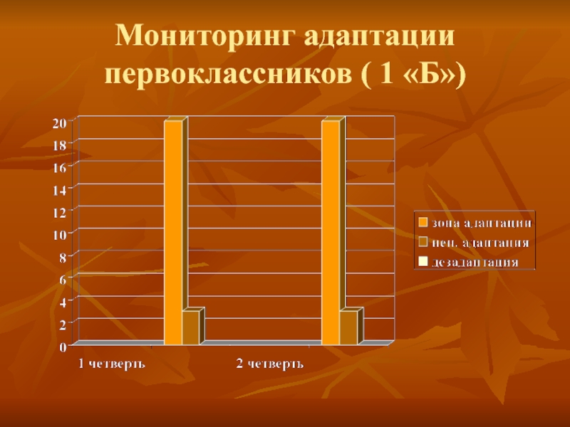 Мониторинг адаптация