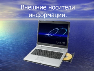 Внешние носители информации.