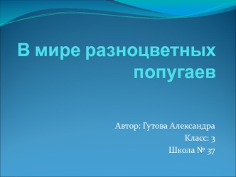 В мире разноцветных попугаев