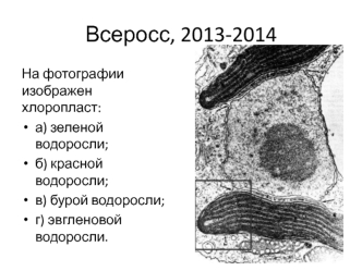 Викторина по биологии 