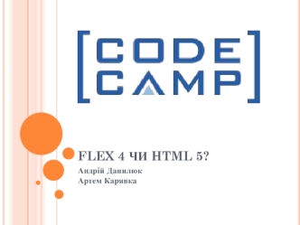 Flex 4 чи HTML 5?