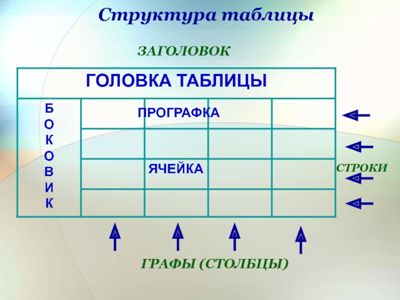 С помощью таблицы. Структура таблицы. Прографка таблицы это. Строение таблицы. Общая структура таблицы.