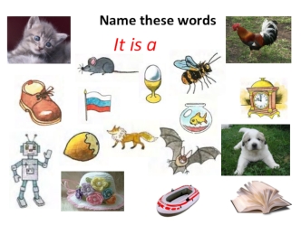 Name these words