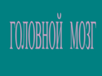 ГОЛОВНОЙ   МОЗГ