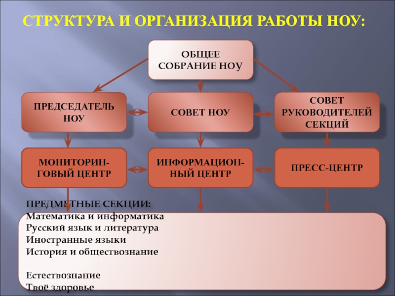 План работы научного общества учащихся