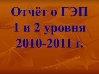 Отчёт о ГЭП 1 и 2 уровня2010-2011 г.