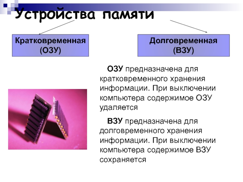 Ячейка памяти компьютера состоит