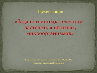 Презентация