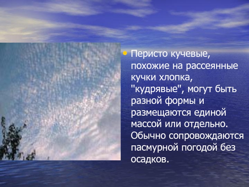 Облака краткое содержание. Перистые Кучевые и Слоистые. Перисто Кучевые облака описание. Слоистые, высокослоистые, Кучевые и перистые облака. Перисто Слоистые облака осадки.