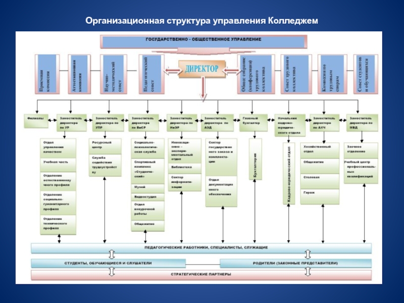 Структура управления в колледже схема