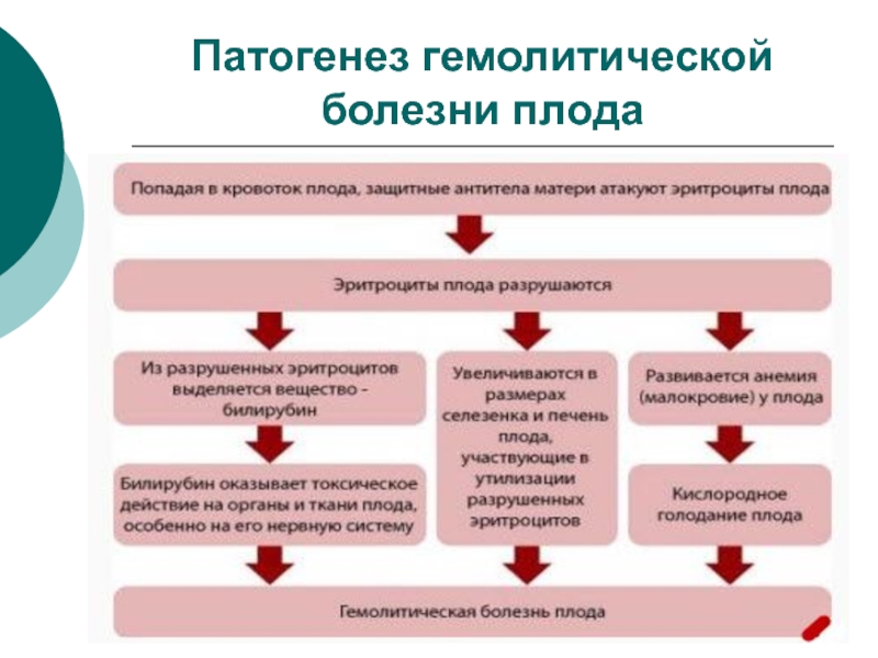 Составить план беседы о профилактике резус конфликта по генетике