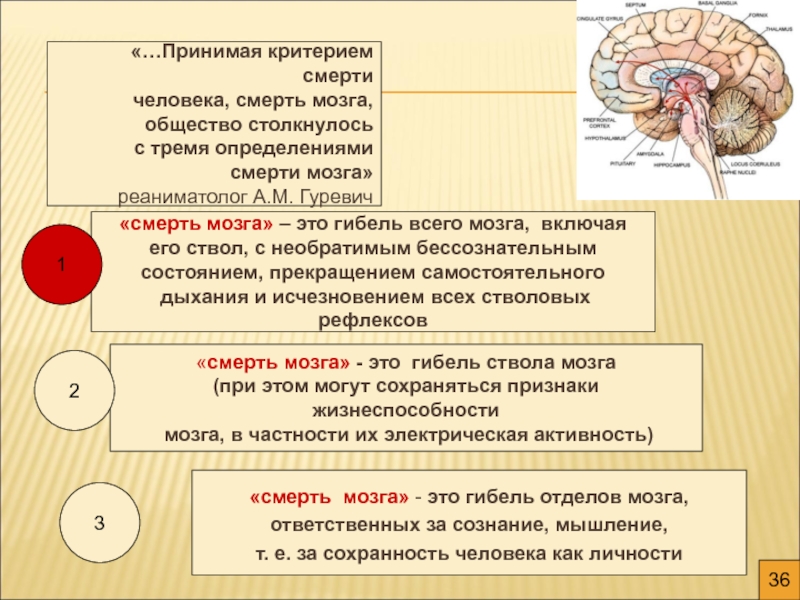 Как понять что мозг умирает