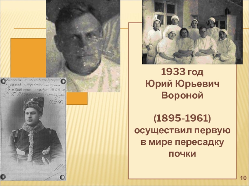 Было осуществлено в первом. 1933 Советский хирург Юрий вороной. Юрий Юрьевич (Георгиевич) вороной (1895-1961). Юрий Юрьевич вороной пересадка почки.