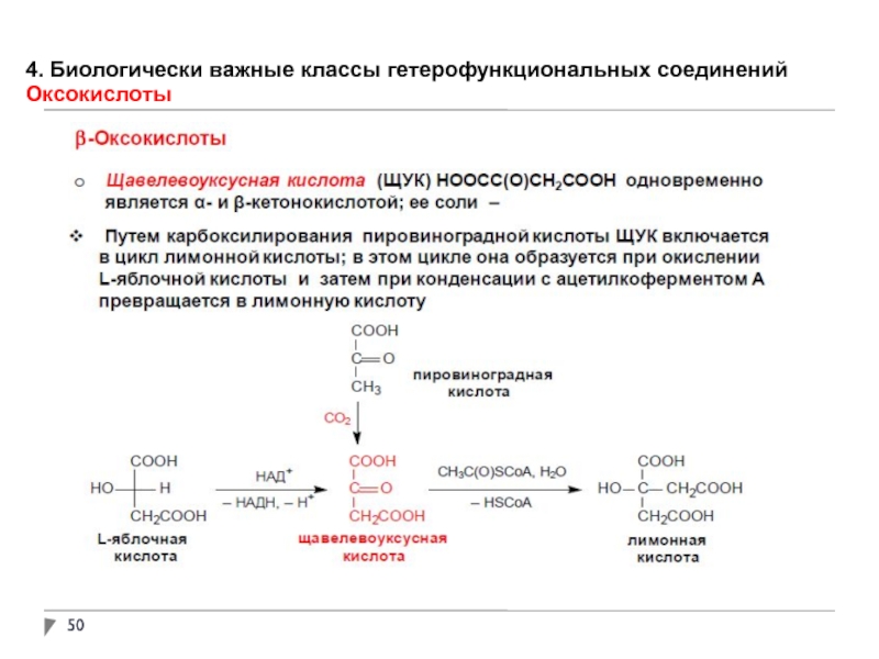 Гетерофункциональные кислоты презентация