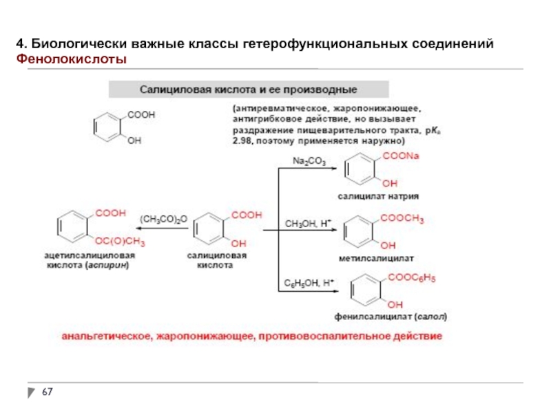 Биологически важные. Полифункциональные и гетерофункциональные соединения. Химические свойства гетерофункциональных соединений. Биологически важные полифункциональные соединения:. Гетерофункциональные соединения гидроксикислоты биологически.