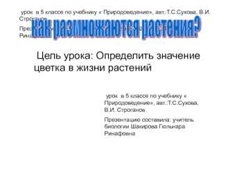 как размножаются растения?