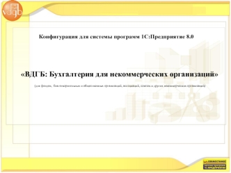 ВДГБ: Бухгалтерия для некоммерческих организаций