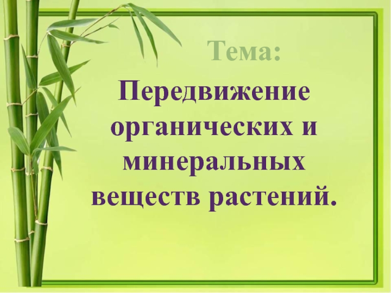 Транспорт органических веществ. Механизм транслокации веществ у растений презентация. Из каких веществ состоит тело растения слайды для презентации. У низших растений нет тканей и вещества передвигаются.