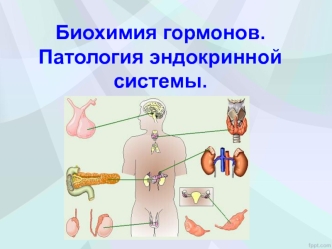 Биохимия гормонов. Патология эндокринной системы