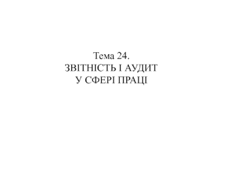 Звітність і аудит у сфері праці