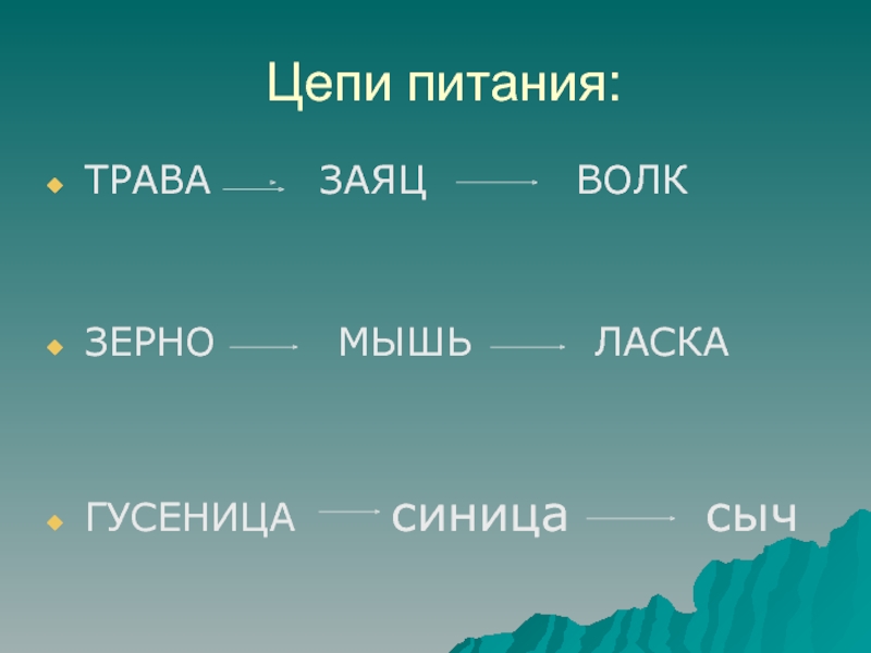 Цепь питания волка. Цепи питания. Цепочка питания. 3 Цепочки питания. 3 Цепи питания.