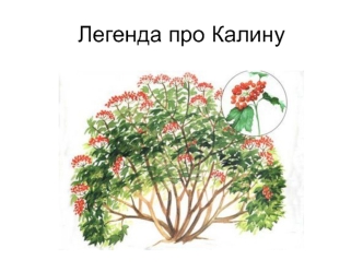 Легенда про Калину