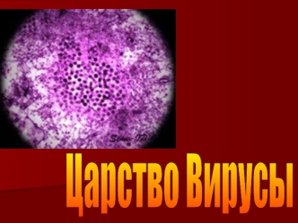 Царство Вирусы
