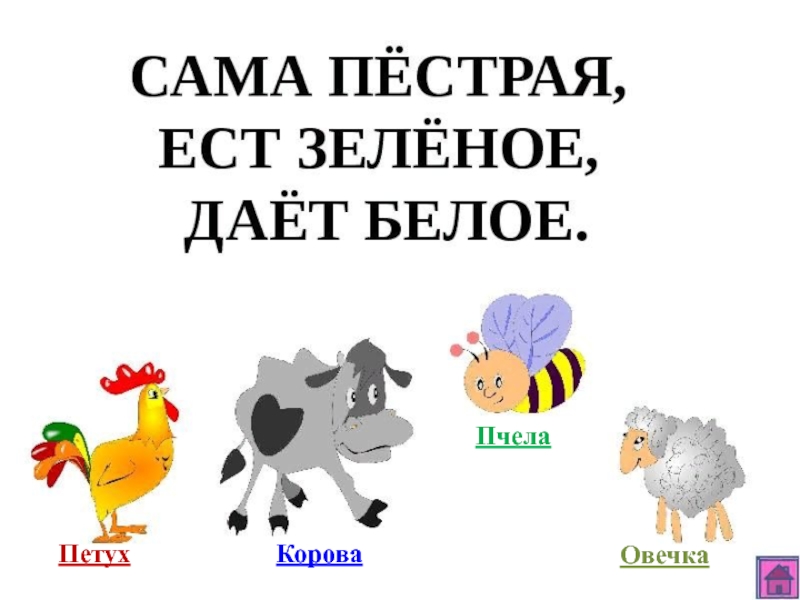 Сама пестр. Корова и петух. Петух и пчела. Корова и пчела. Тест для детей корова петух.