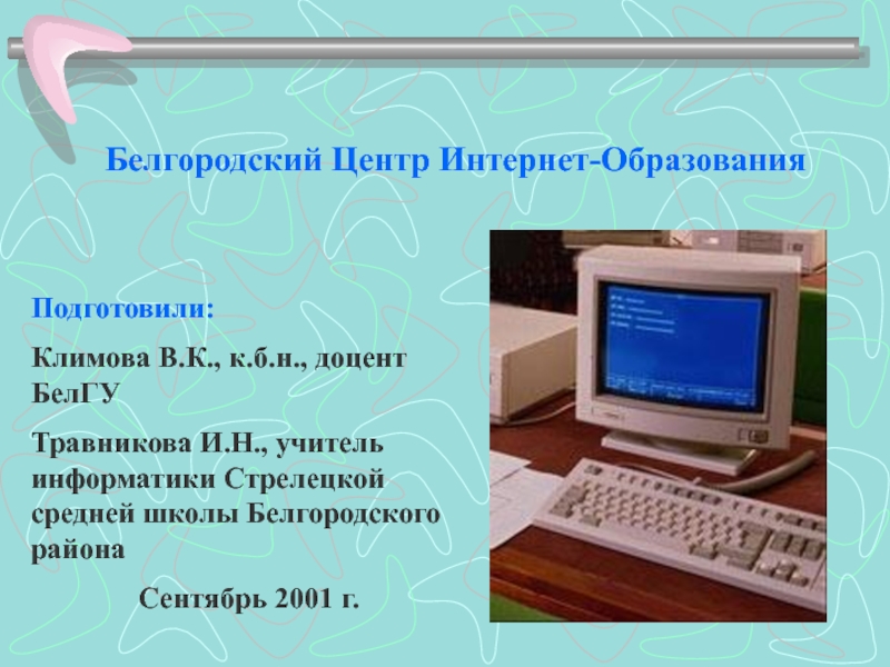 Презентация опыта учителя информатики