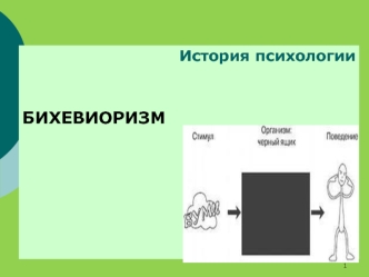 История психологии. Бихевиоризм