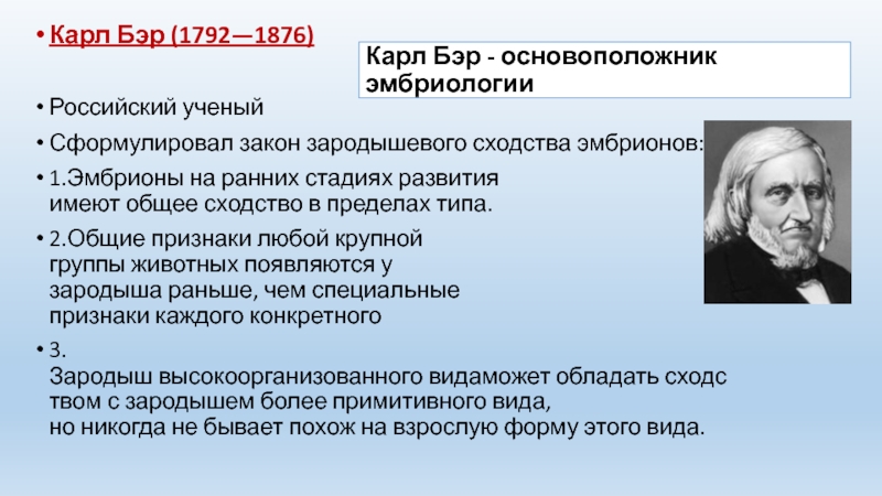 Бэр это. Карл Бэр (1792 1876) «закон зародышевого сходства». Закон зародышевого сходства Карла Бэра. Карл Бэр закон зародышевого сходства. Теория Карла Бэра.