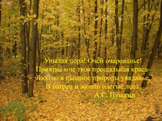 Унылая пора! Очей очарованье!Приятна мне твоя прощальная краса-Люблю я пышное природы увяданье,В багрец и золото одетые леса.                        А.С. Пушкин