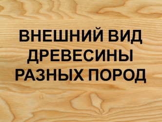 Внешний вид древесины разных пород