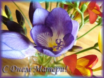 День матери - это один из самых трогательных праздников, потому что каждый из нас с детства и до своих последних дней несет в своей душе единственный.