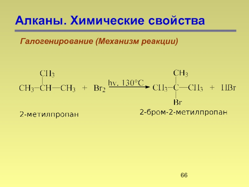 Продукт реакции галогенирования. Механизм реакции галогенирования алканов. Химические свойства алканов галогенирование. 2 Метилбутан галогенирование. Логинирование алканов.