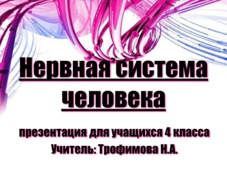 Нервная система человека